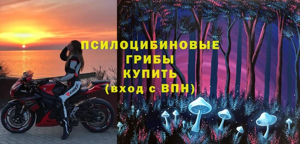 индика Заволжск