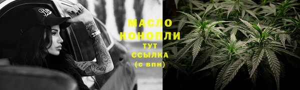 индика Заволжск