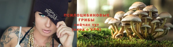 индика Заволжск