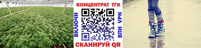 Купить закладки  Курильск  ТГК Wax 