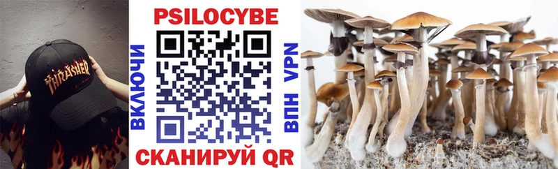 Псилоцибиновые грибы GOLDEN TEACHER  Купить закладки  Курильск 